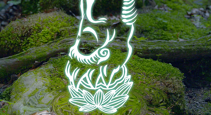 文殊仙寺TVCM「特別開帳」2017年夏篇